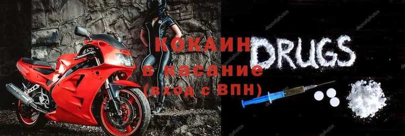 ссылка на мегу вход  Карачаевск  COCAIN Fish Scale 