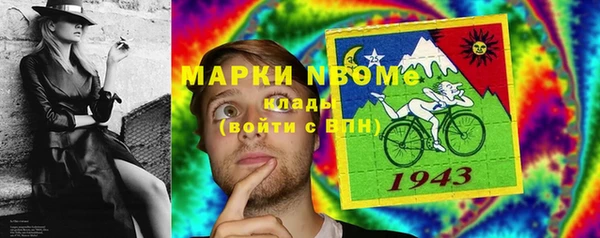 ПСИЛОЦИБИНОВЫЕ ГРИБЫ Белокуриха